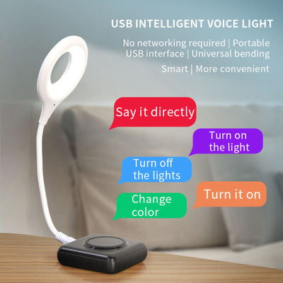 ElleDream™️Smart Voice Control USB Light