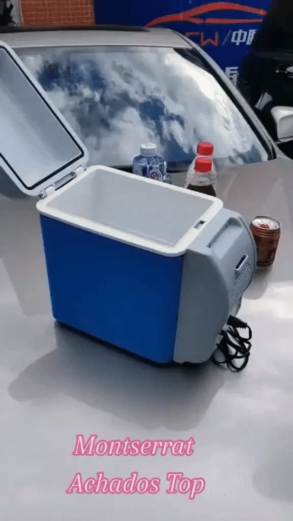 ElleDream™️ Portable Mini Car Refrigerator